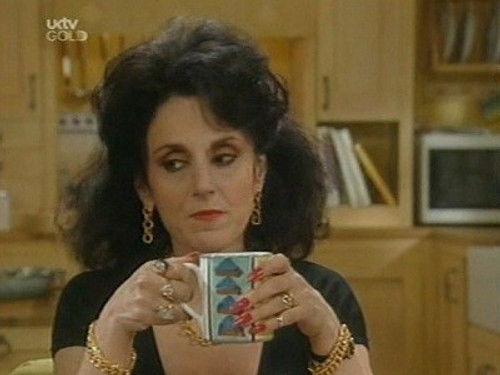 Birds of a Feather Season 5 Episode 7 - A Brush with the Law