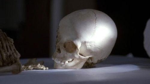 Without a Trace Season 6 Episode 6 - Where & Why (II)