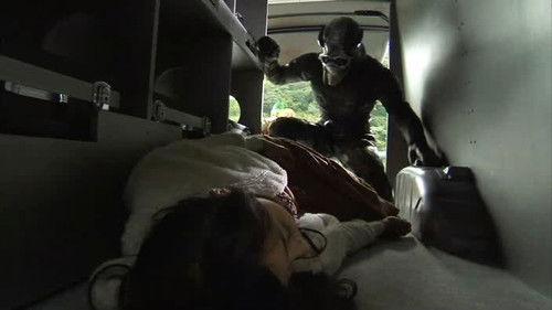 Kamen Rider Season 21 Episode 15 - Struggle for the Medals, Transport Truck, Container
