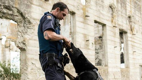 Dog Squad Season 12 Episode 4 - Episode 4