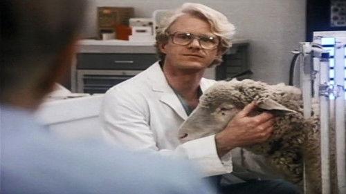 St. Elsewhere Season 6 Episode 7 - Handoff