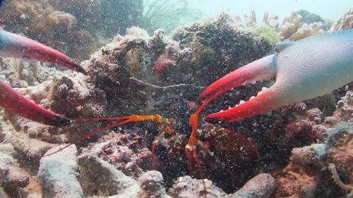 Background image for Deep Trouble