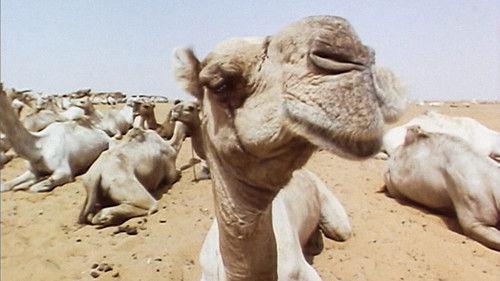 Pole to Pole Season 1 Episode 4 - Shifting Sands