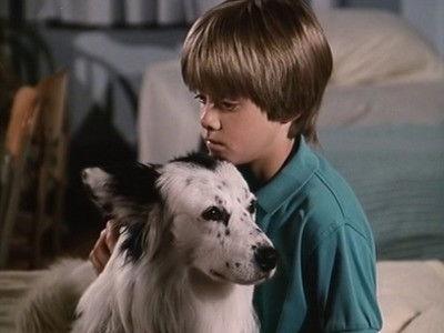 Highway to Heaven Season 4 Episode 2 - Man's Best Friend (2)