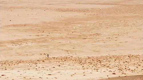 Bear Grylls: Escape From Hell Season 1 Episode 3 - Desert