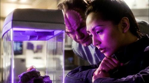 undefined Season 1 Episode 3 - Fight or Flight