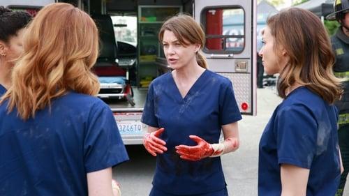 Grey's Anatomy Season 11 Episode 23 - Time Stops