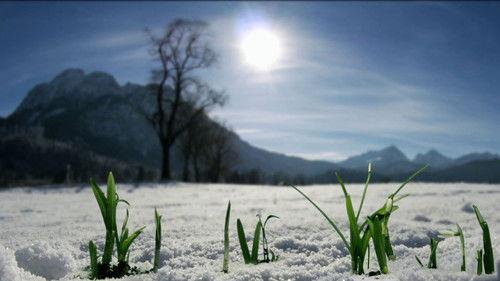 Wild Germany Season 5 Episode 2 - Episode 2