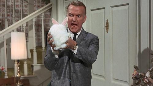 Gidget Season 1 Episode 23 - Operation Shaggy Dog