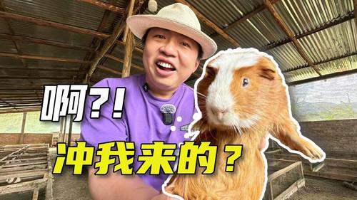 食贫道 Season 8 Episode 6 - 这趟玻利维亚的奇幻之旅，还要从我被一只豚鼠搓澡说起