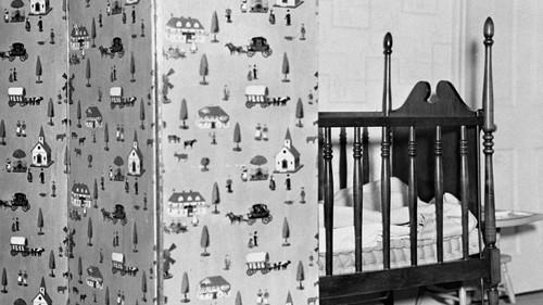 NOVA Season 40 Episode 9 - Who Killed Lindbergh's Baby?