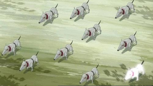 Code Lyoko Season 4 Episode 21 - Canine Conundrum