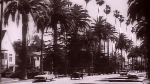 The Beverly Hillbillies Season 3 Episode 21 - Double Naught Jethro