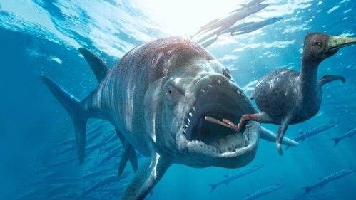 Sea Monsters Season 1 Episode 3 - To Hell and Back