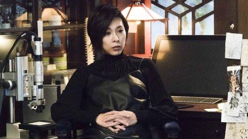 Background image for Stella Maris