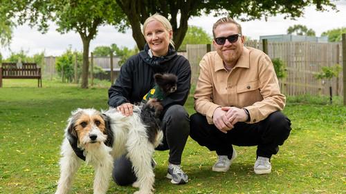 The Dog House Season 9 Episode 1 - Episode 1