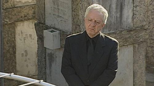 A Grande Família Season 1 Episode 17 - A Bola da Vez