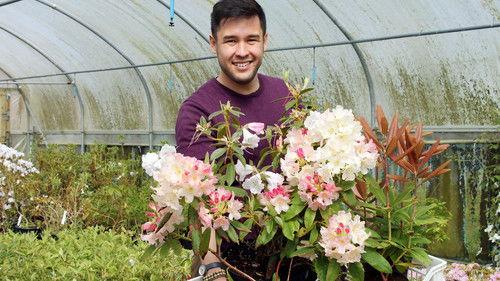Great British Garden Revival Season 2 Episode 3 - Rhododendrons and Carnations