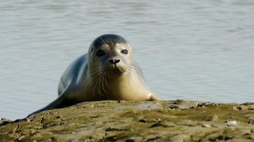 Background image for Episode 3