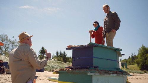 Race Against The Tide Season 1 Episode 9 - Optical Illusion