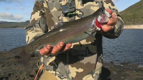 Alone Australia Season 3 Episode 3 - Episode 3