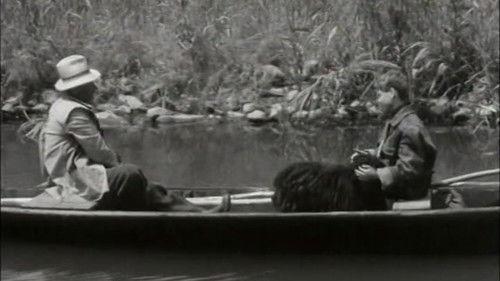 Thorn Castle Season 1 Episode 5 - Episode 5