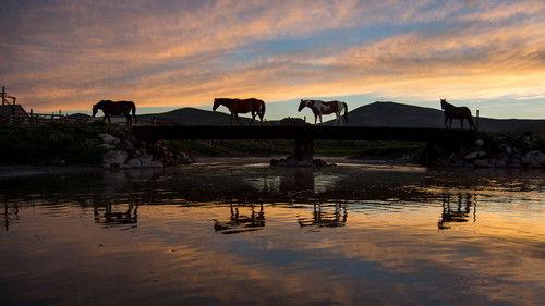 Earth: A New Wild Season 1 Episode 2 - Plains