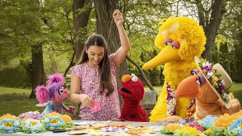 Sesame Street Season 53 Episode 13 - Nani Bird Visits