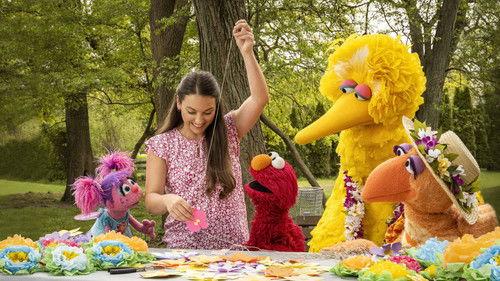 Sesame Street Season 53 Episode 13 - Nani Bird Visits