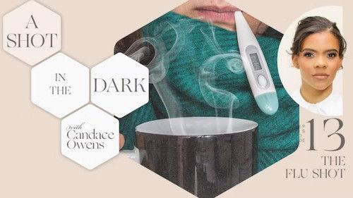 A Shot in the Dark Season 1 Episode 13 - The Flu Shot