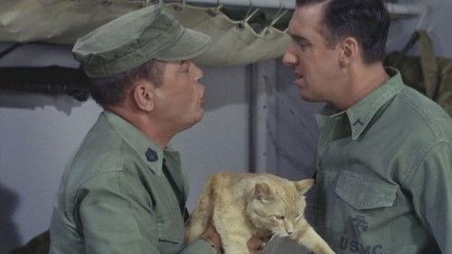 Gomer Pyle, U.S.M.C. Season 2 Episode 7 - Cat Overboard