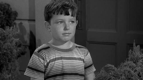 Leave It to Beaver Season 1 Episode 7 - Water, Anyone?