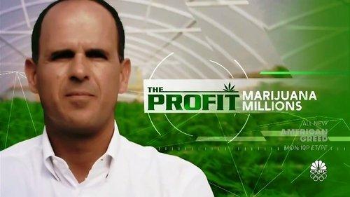 Background image for Marijuana Millions