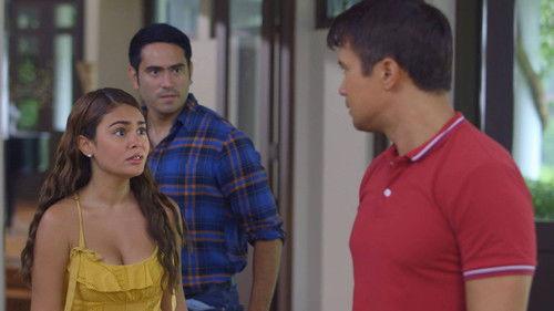 A Family Affair Season 1 Episode 20 - The President’s a Woman