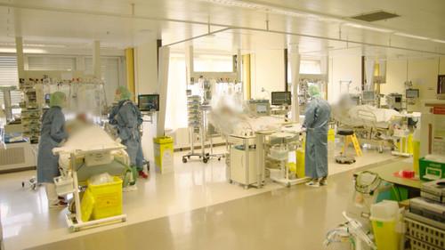 Pano Season 5 Episode 5 - Episode 5