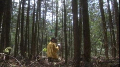 Furuhata Ninzaburo Season 3 Episode 5 - The Yoko-chin Anzai Incident