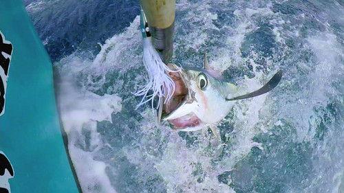 Battlefish Season 1 Episode 2 - The Eclipse