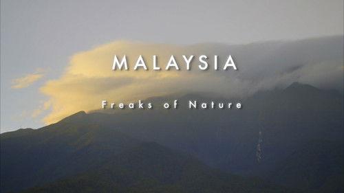 Wildest Indochina Season 1 Episode 1 - Malaysia - Freaks of Nature