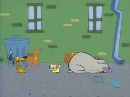2 Stupid Dogs Season 1 Episode 37 - Cat!