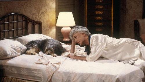 undefined Season 2 Episode 9 - Joust Between Friends