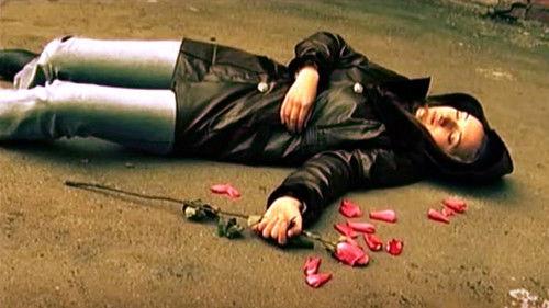 The investigation was conducted Season 2 Episode 5 - Episode 37