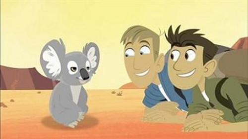 Wild Kratts Season 1 Episode 22 - Koala Balloon
