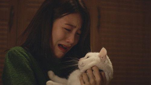 Meow, the Secret Boy Season 1 Episode 8 - Episode 8