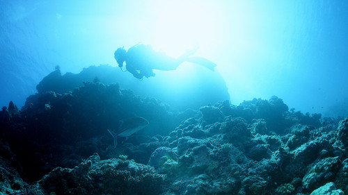 Descending Season 1 Episode 13 - The Underworld