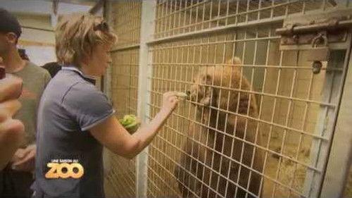 Une saison au zoo Season 4 Episode 8 - Episode 8