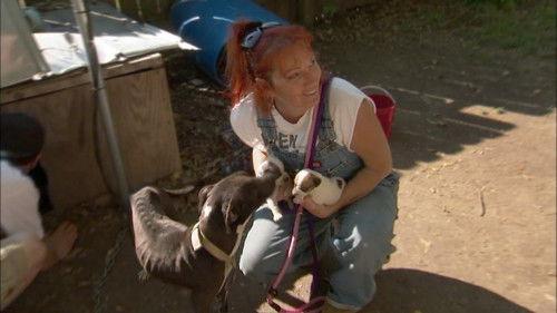 Pit Bulls and Parolees Season 3 Episode 5 - Southern Uprising