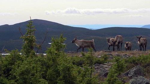 Découverte Season 31 Episode 10 - Episode 10