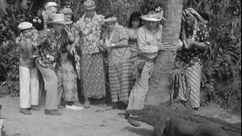 McHale's Navy Season 3 Episode 7 - Will the Alligator Take the Stand?