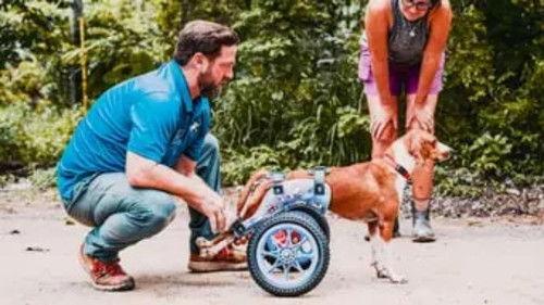 Background image for Miracle in Honduras (Part 2)