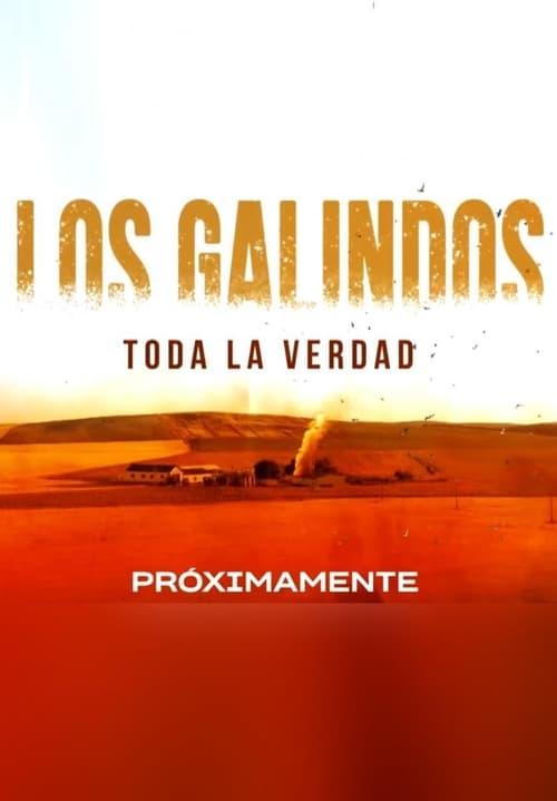 The Galindos, all the truth poster